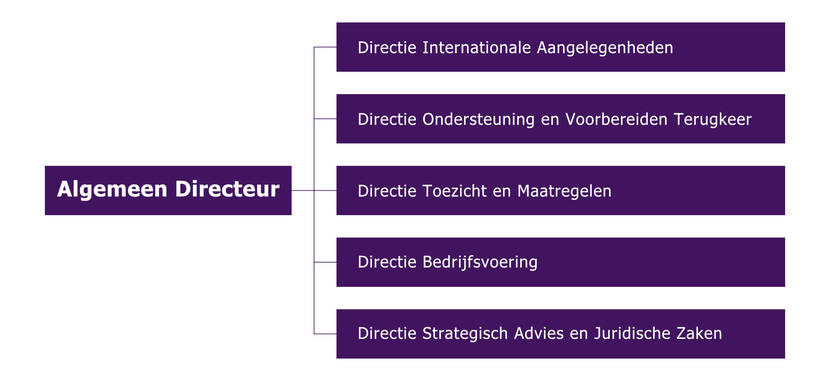 De DT&V bestaat uit vijf directies: de directie Strategisch Advies en Juridische Zaken, de directie Bedrijfsvoering, de directie Ondersteuning en Voorbereiden Terugkeer, de directie Toezicht en Maatregelen en de directie Internationale Aangelegenheden
